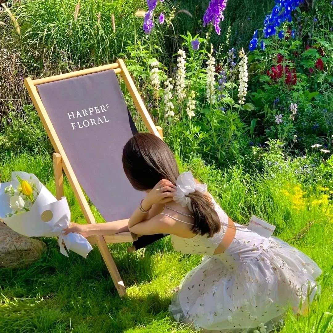 超级巨星(原声版)