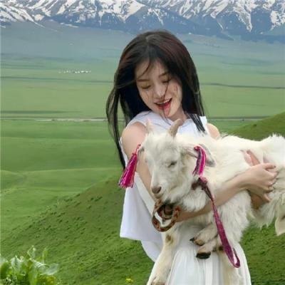 对不起，我磕到你了